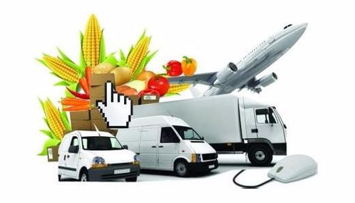 專業(yè)進出口國際物流與跨境運輸 深圳物流公司的物聯(lián)網(wǎng)技術(shù)服務(wù)革新