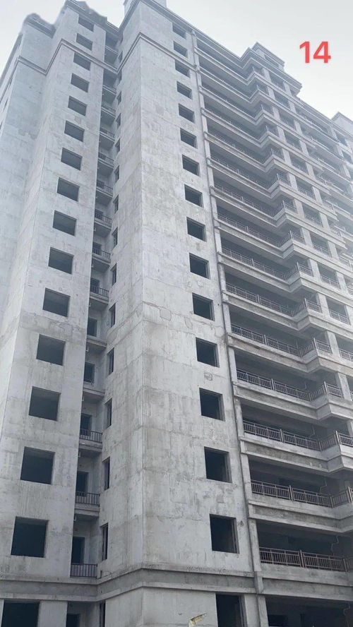 睢寧金泰工程進(jìn)度 精雕細(xì)琢, 家 速趕來.....