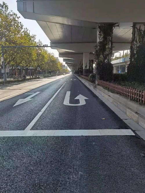 為民辦實事 寶山區(qū)7條道路變身精品示范路