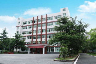 永州市海嘉中等職業(yè)技術(shù)學校視角 中國職場中具有競爭力的小語種與公路與路面工程領域